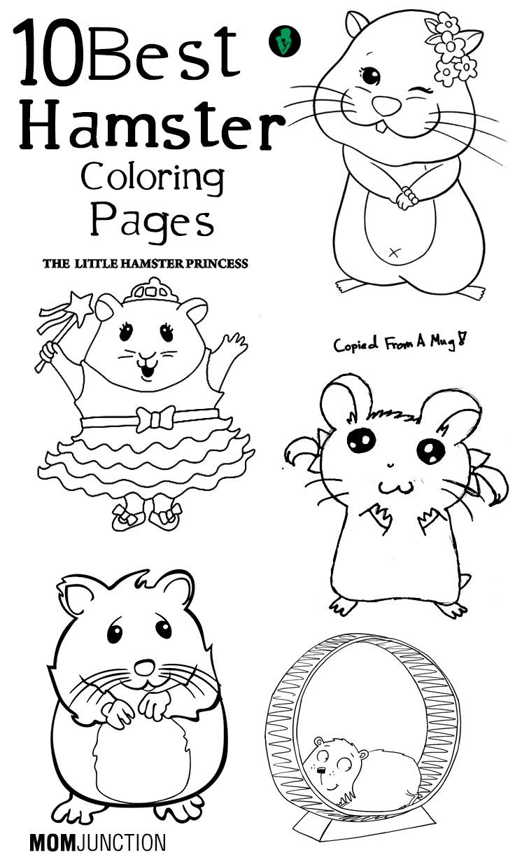 Printable Childrens Coloring Pages
 Top 25 Free printable Hamster Coloring Pages line