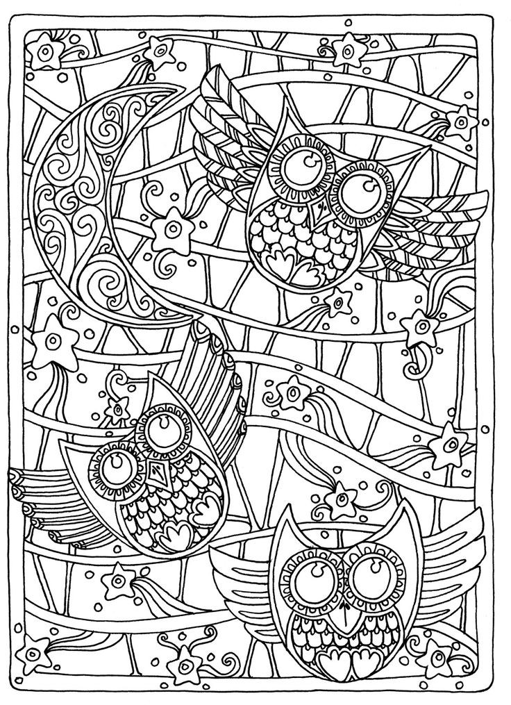 Printable Coloring Pages Adults
 OWL Coloring Pages for Adults Free Detailed Owl Coloring