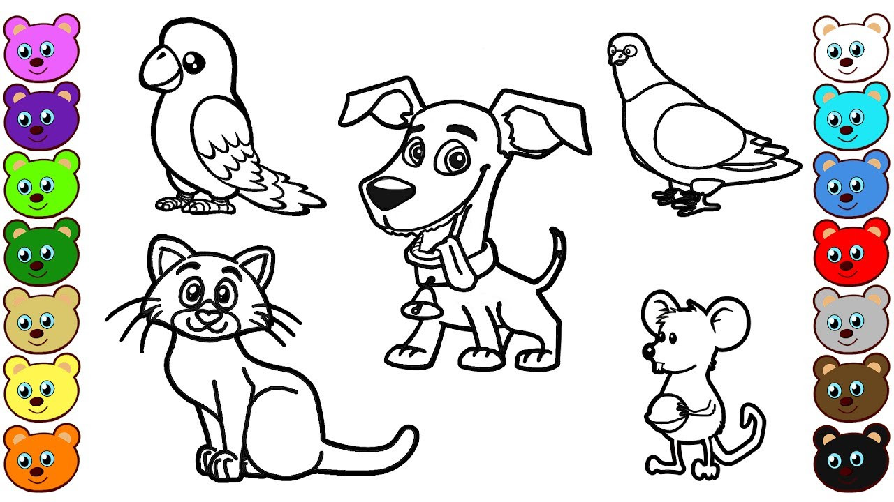 Printable Coloring Pages Animals
 Learn Colors for Kids with Home Animals Coloring Pages