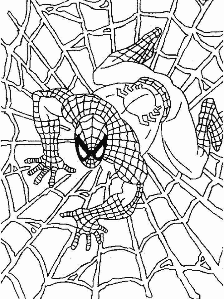 Printable Coloring Pages Boys
 Unknown spiderman