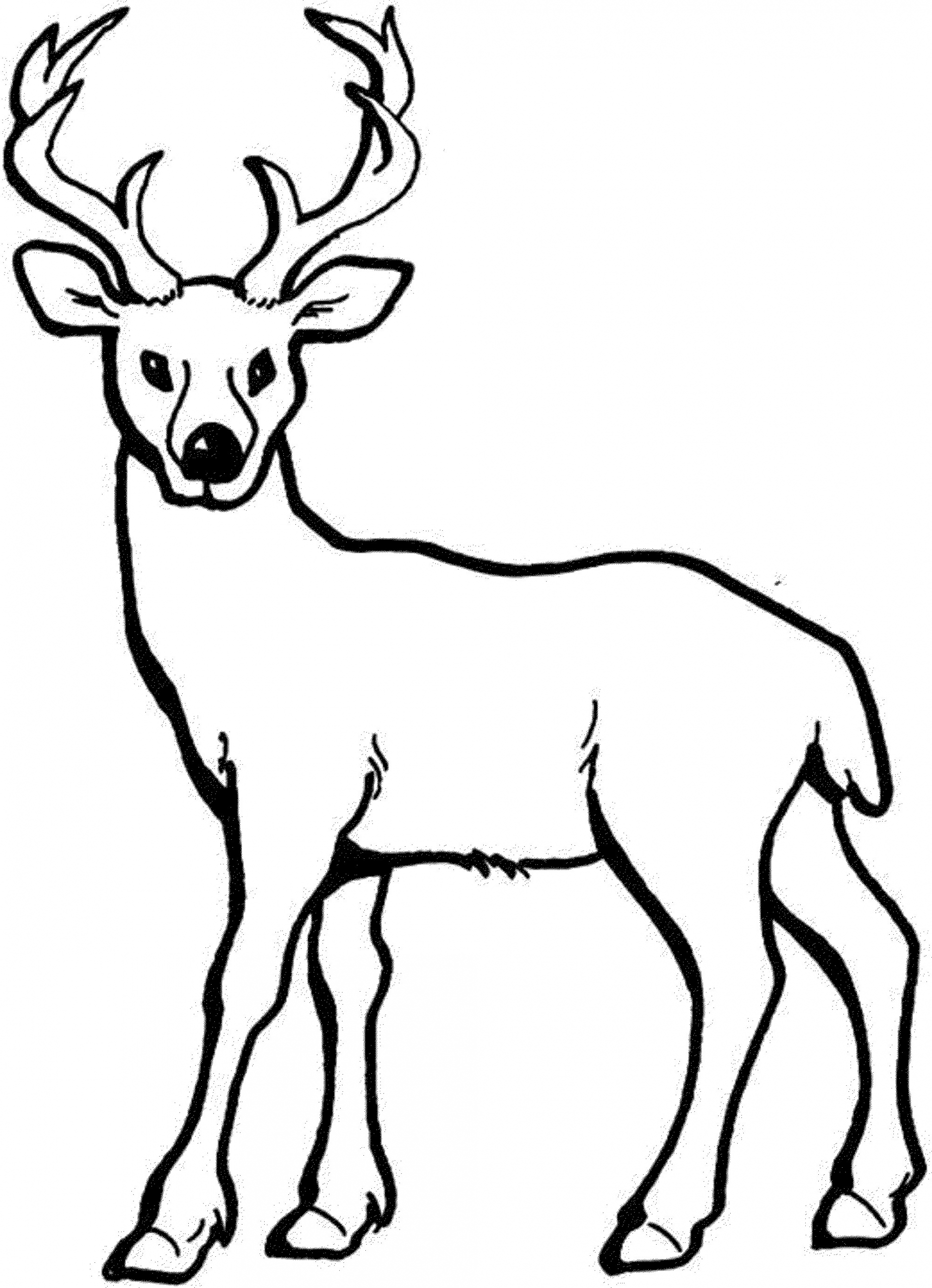 Printable Deer Coloring Pages
 coloring pages of deer Printable Kids Colouring Pages