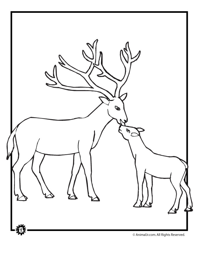 Printable Deer Coloring Pages
 Baby Deer Coloring Page