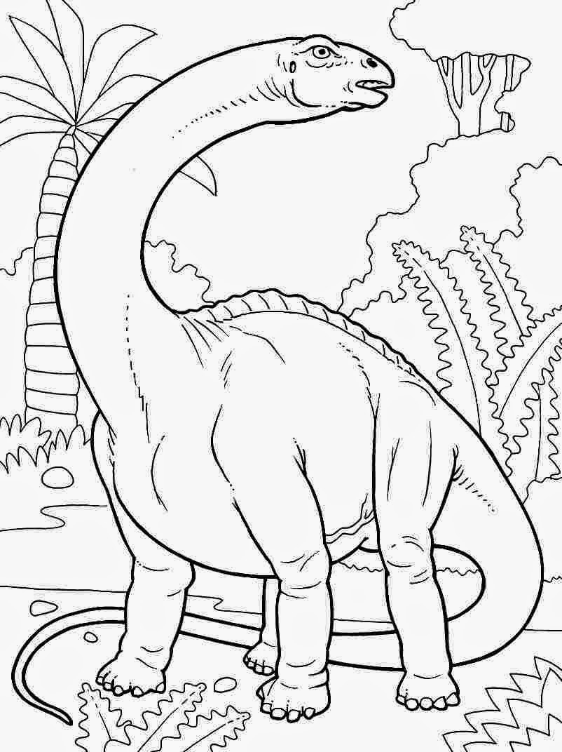 Printable Dinosaur Coloring Pages
 Coloring Pages Dinosaur Free Printable Coloring Pages