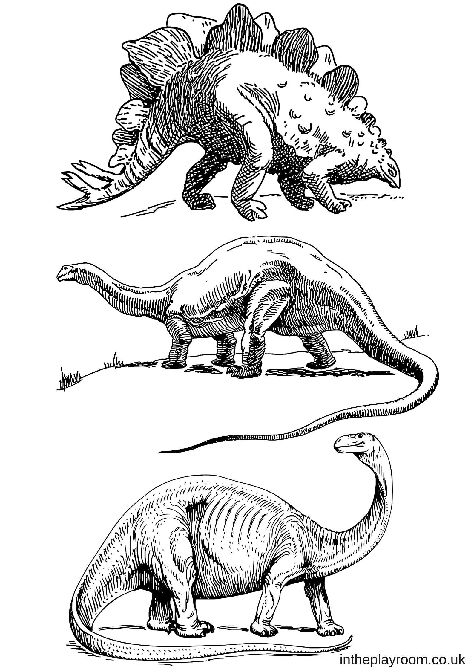 Printable Dinosaur Coloring Pages
 Dinosaur Colouring Pages In The Playroom