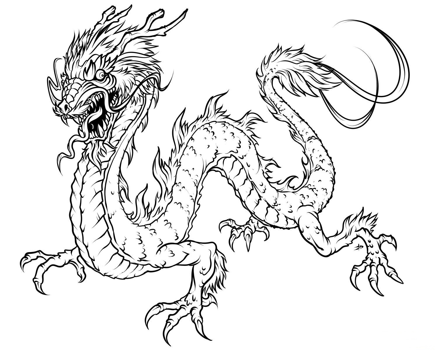 Printable Dragon Coloring Pages
 free printable coloring pages dragons 2015