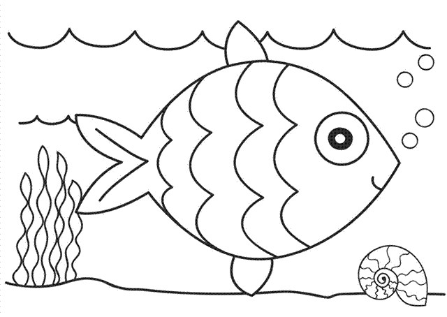 Printable Fish Coloring Pages
 Fish Coloring Pages