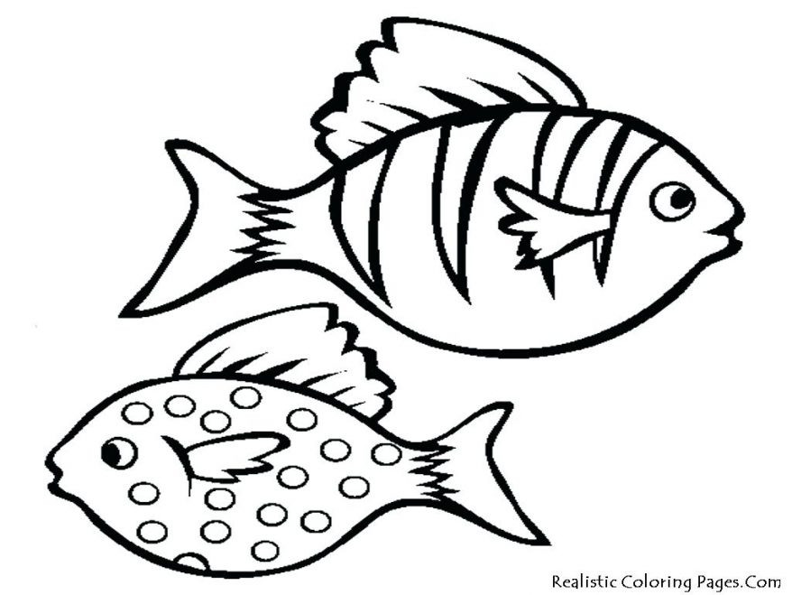 Printable Fish Coloring Pages
 Tropical Fish Coloring Pages