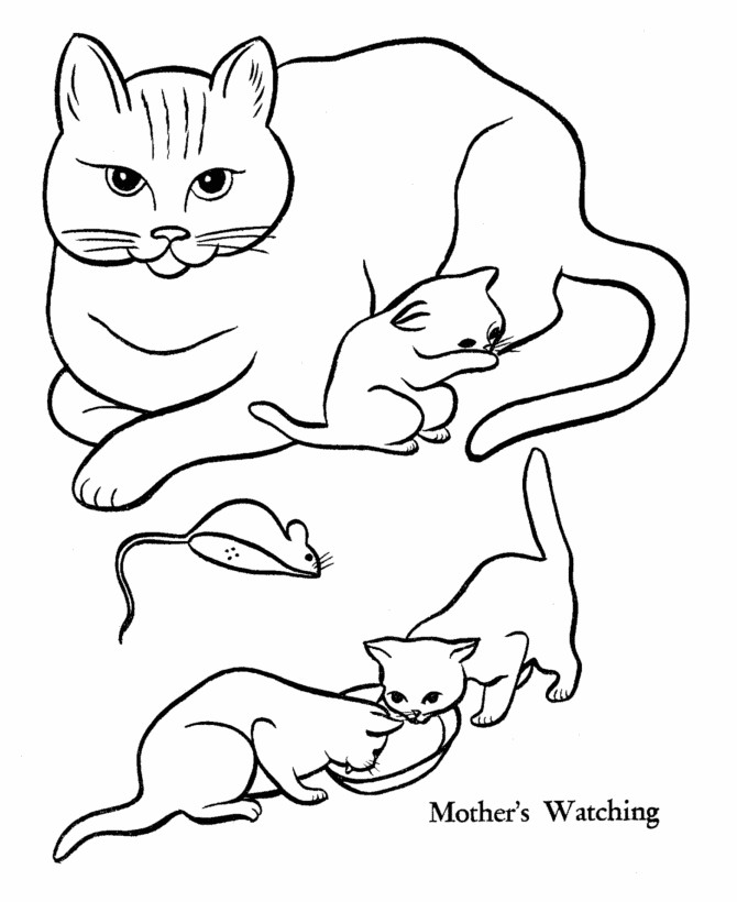 Printable Kitten Coloring Pages
 Free Printable Cat Coloring Pages For Kids