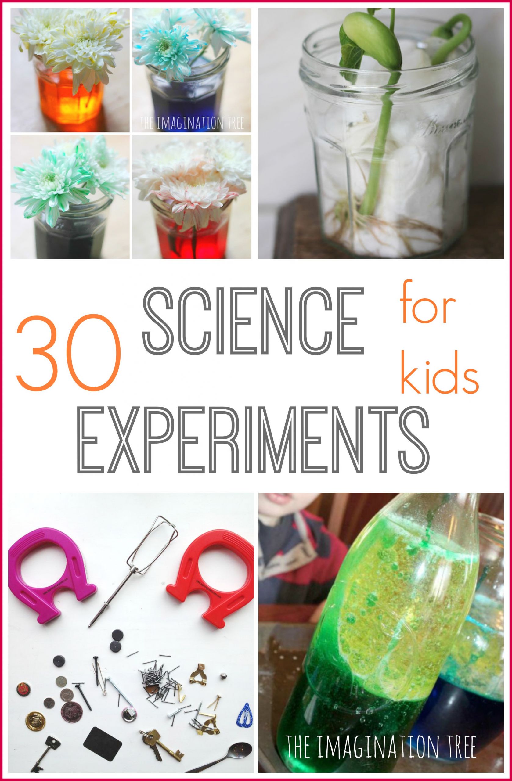 Projects For Kids
 Science Experiments for Kids The Imagination Tree