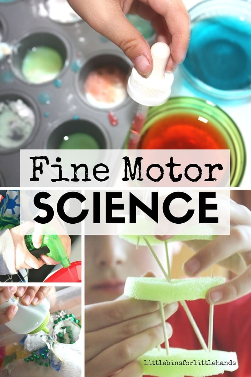 Projects For Little Kids
 Fine Motor Science Activities for Kids
