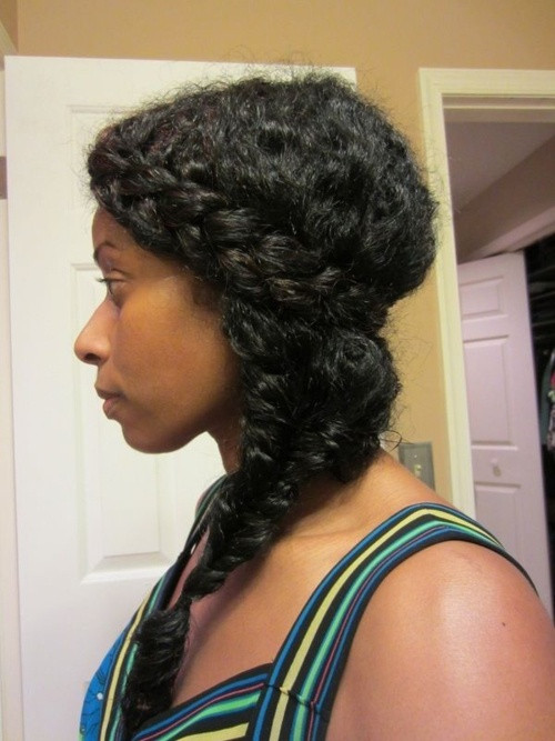 Protective Hairstyles Natural Hair
 Protective Hairstyles for Black Women
