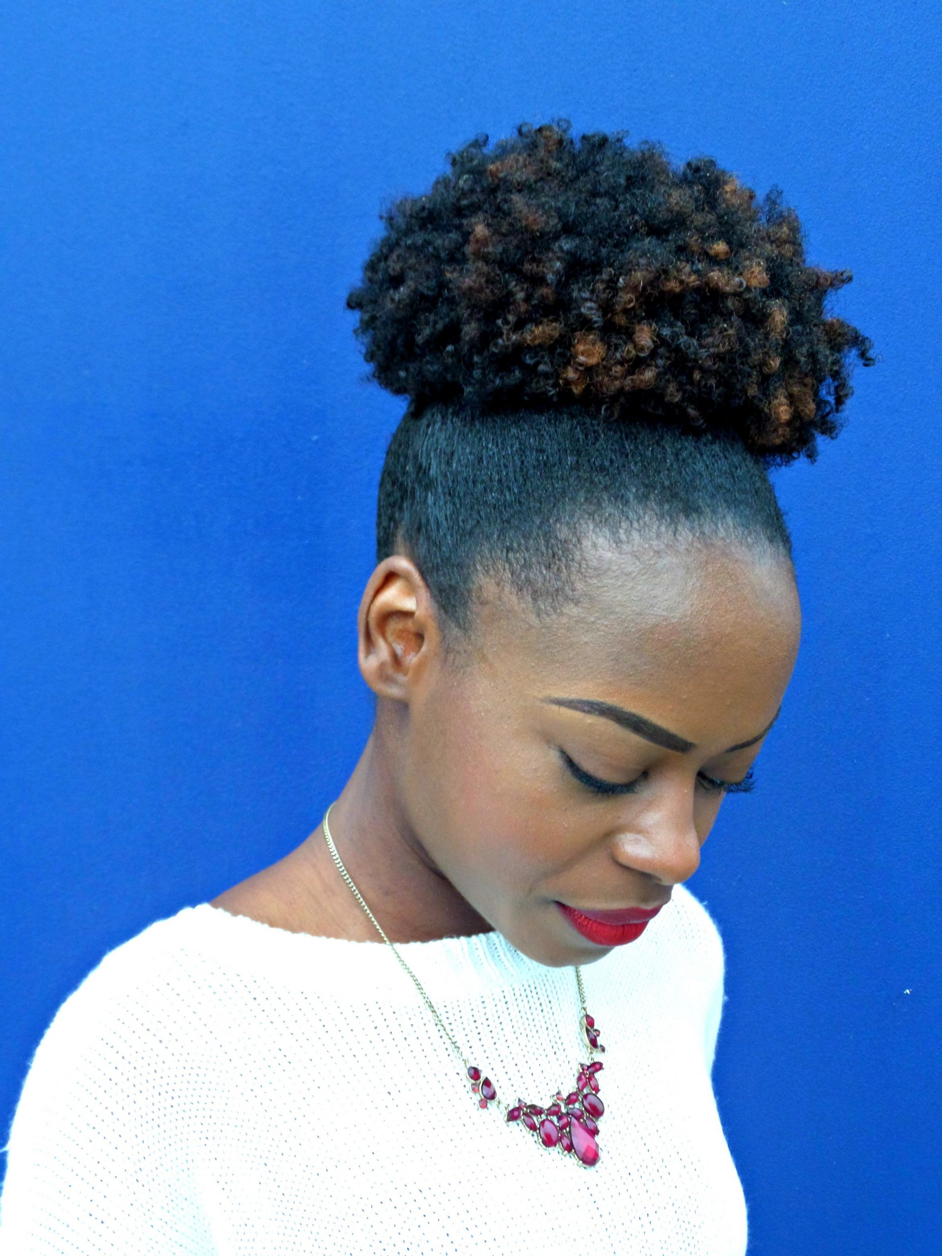 Puff Hairstyles For Natural Hair
 How to Wear a High Puff on Natural Hair