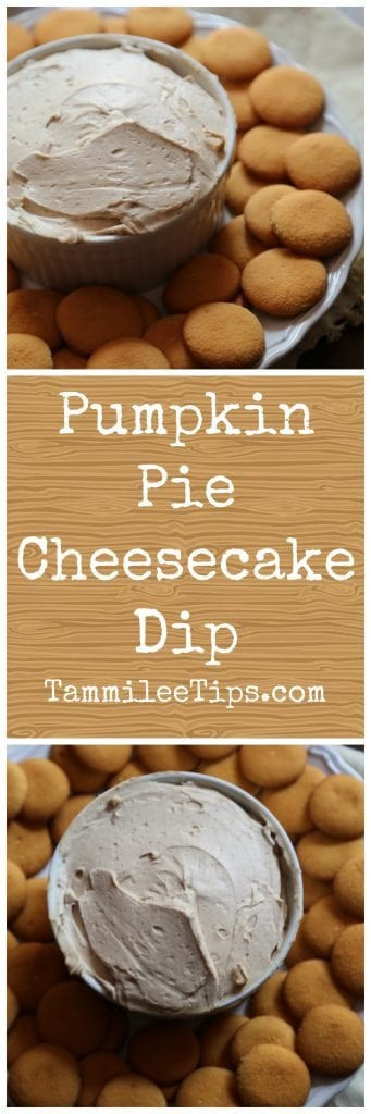 Pumpkin Pie Cheesecake Dip
 Deborah s Party Rentals 5 Perfect Snacks for Your Fall Party