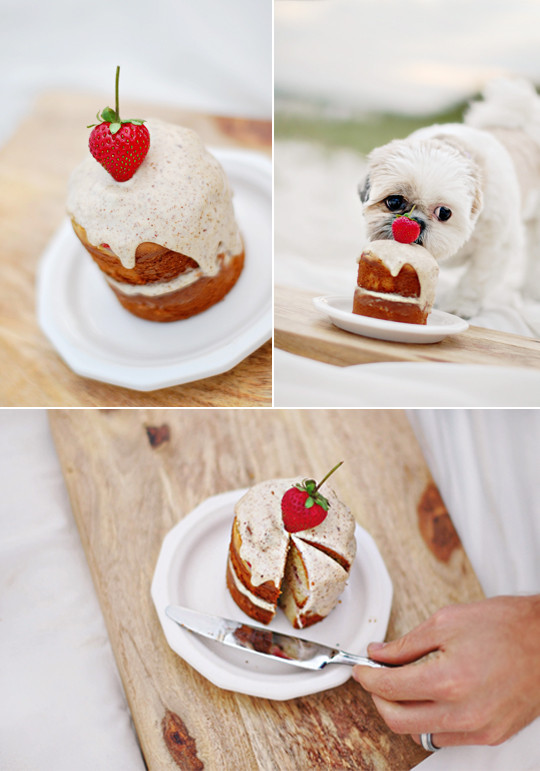 Puppy Birthday Cake Recipe
 The Best Dog Birthday Cake Recipe Coco’s Birthday