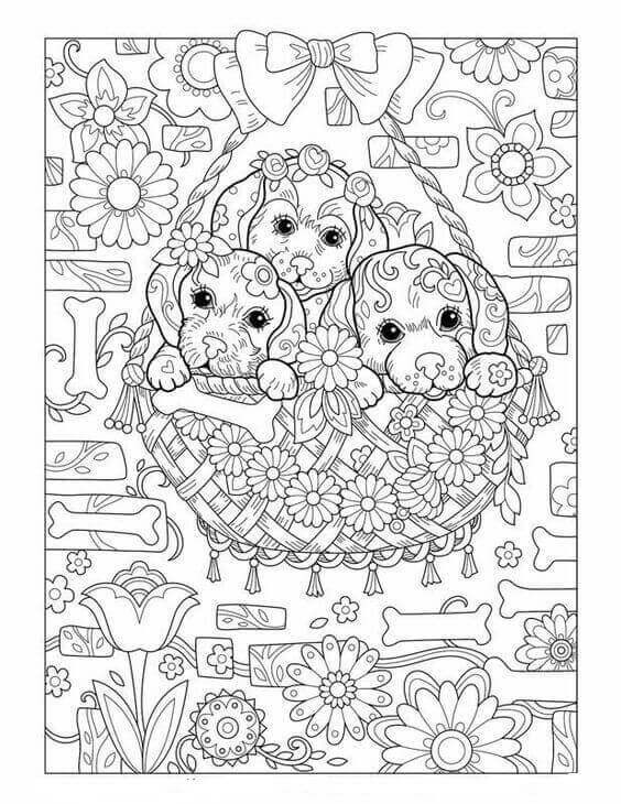 Puppy Coloring Pages For Adults
 30 Free Printable Puppy Coloring Pages