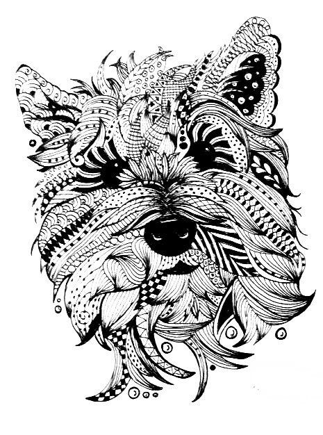 Puppy Coloring Pages For Adults
 Carin Terrier Doc