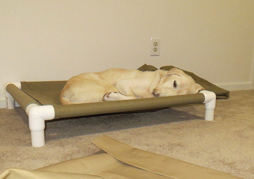 Pvc Dog Bed DIY
 DIY Elevated Dog Bed PVC Style DIY Elevated Dog Bed PVC