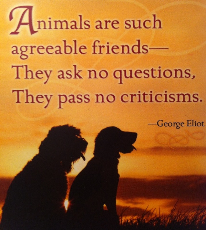 Quote About Wildlife
 10 Inspiring Quotes about Animals e Green Planet