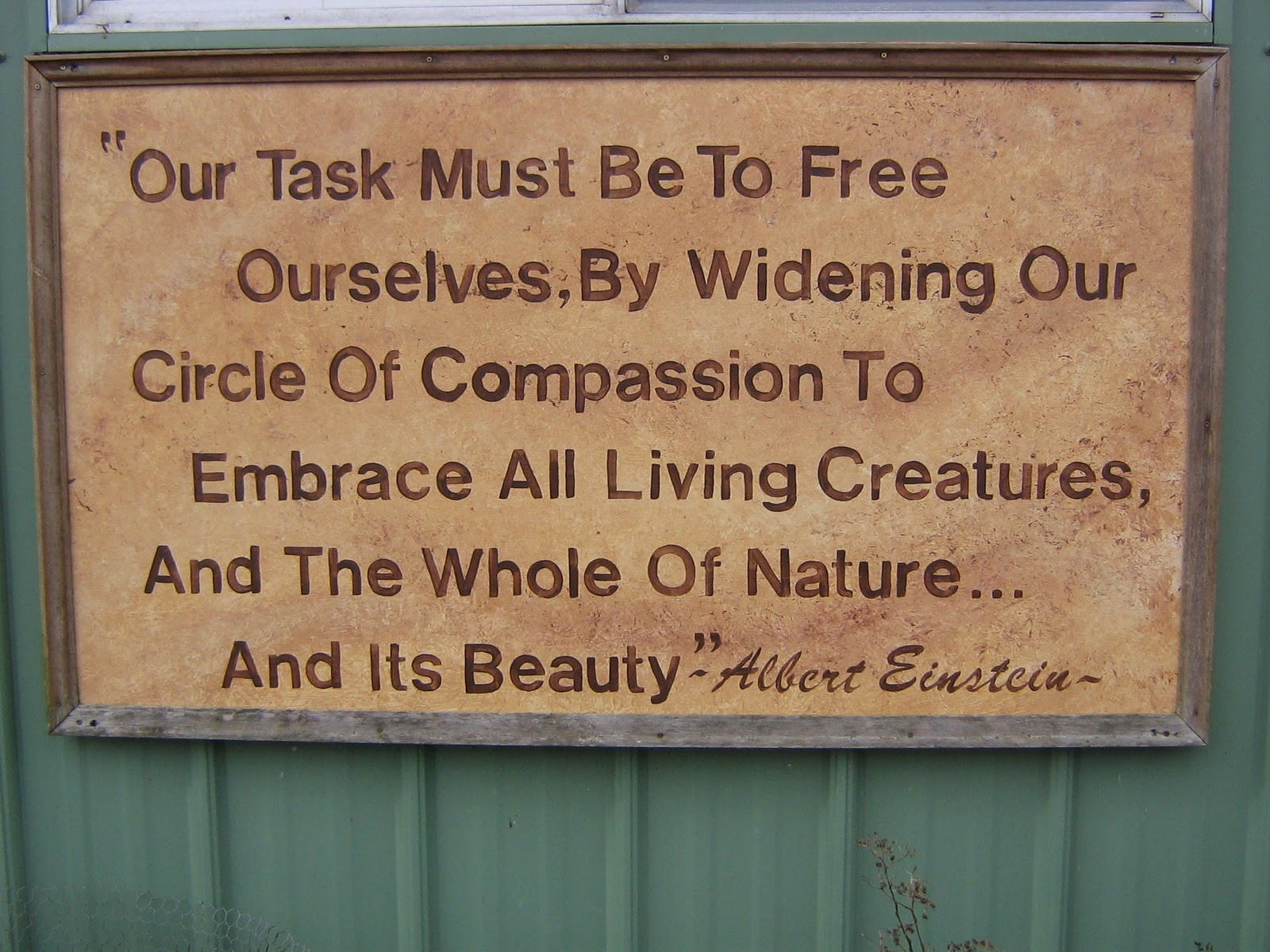 Quote About Wildlife
 Critters in the Cottage Wildlife Conservation