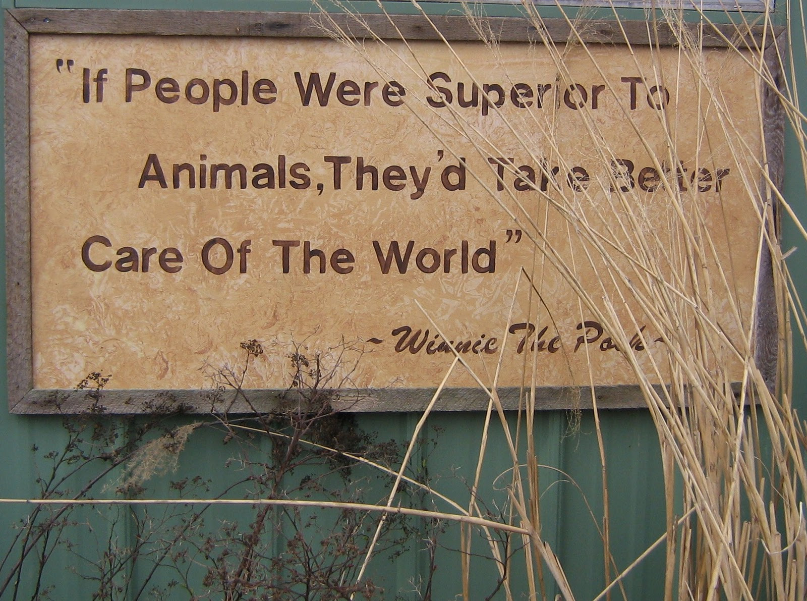 Quote About Wildlife
 Critters in the Cottage Wildlife Conservation