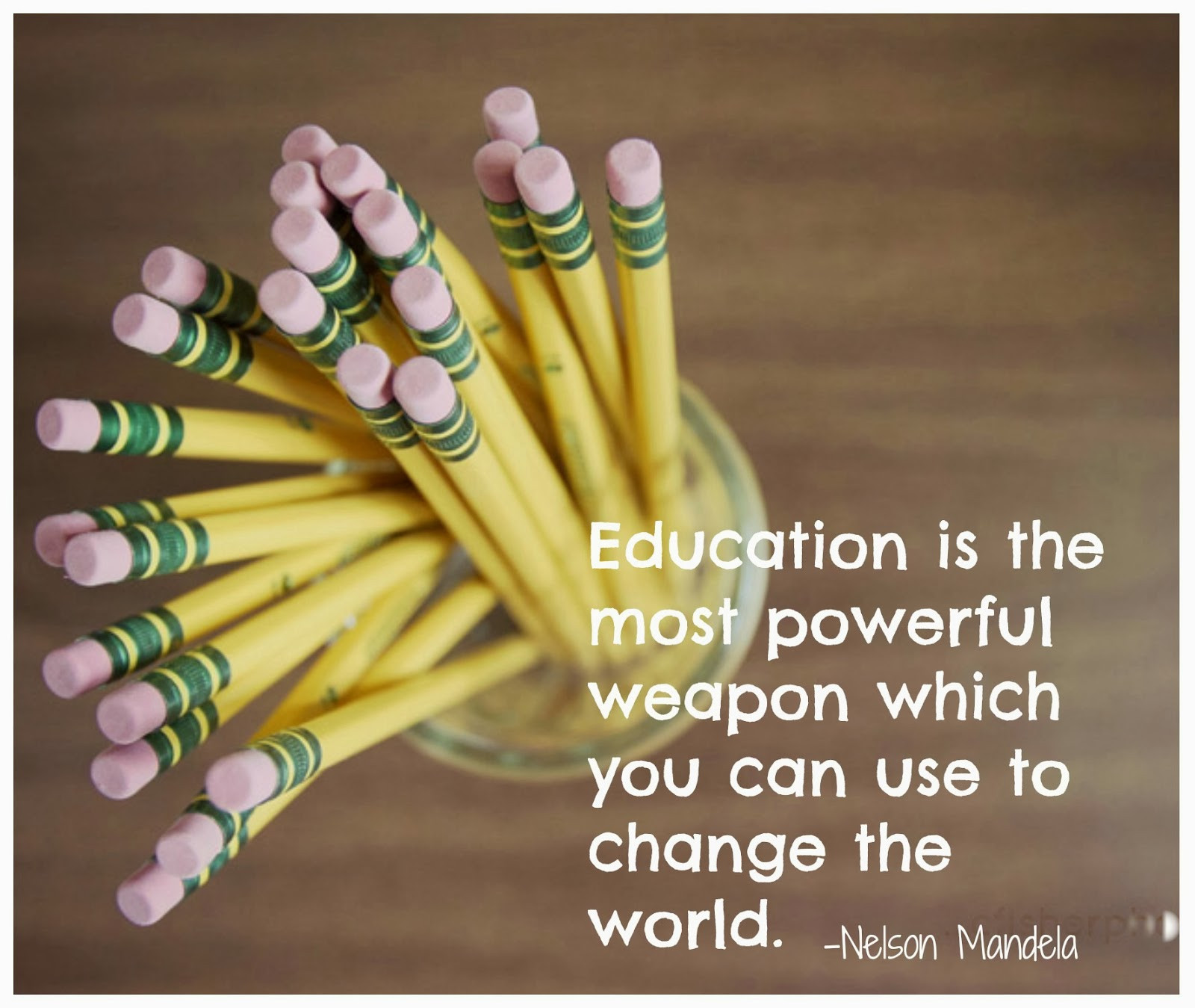 Quotes About Education And Success
 Quotes About Education And Success QuotesGram