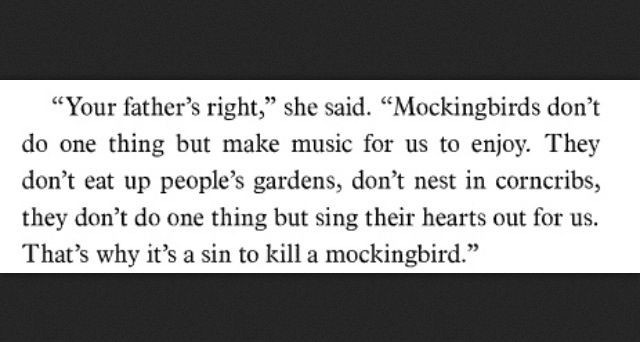 Quotes About Education In To Kill A Mockingbird
 PREJUDICE RACISM QUOTES IN TO KILL A MOCKINGBIRD image