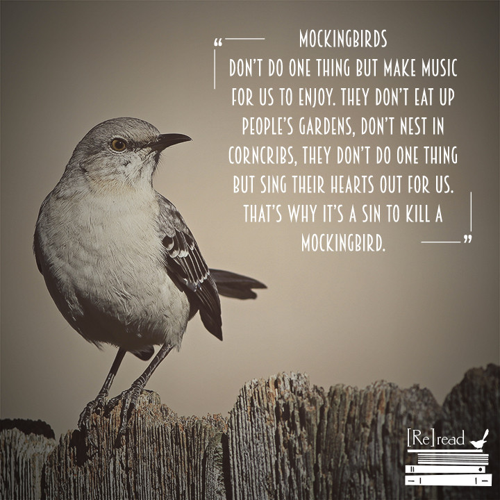 Quotes About Education In To Kill A Mockingbird
 To Kill A Mockingbird Resources