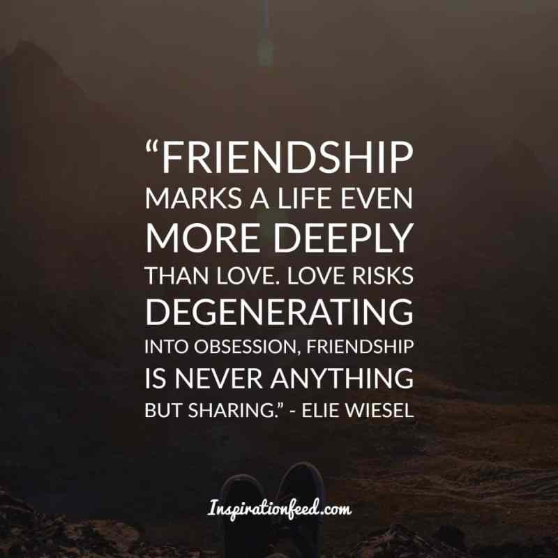Quotes About Love And Friendship
 40 Truthful Quotes about Friendship