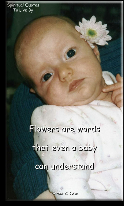 Quotes About Newborn Baby
 Quotes About Babies To Live By