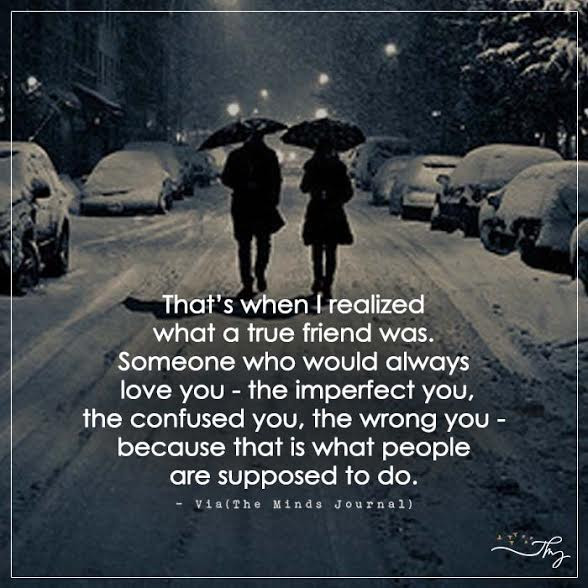 Quotes About True Friendship
 That s when I realized what a true friend was
