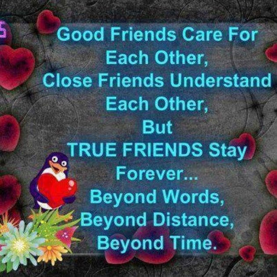 Quotes About True Friendship
 20 True Friends Quotes