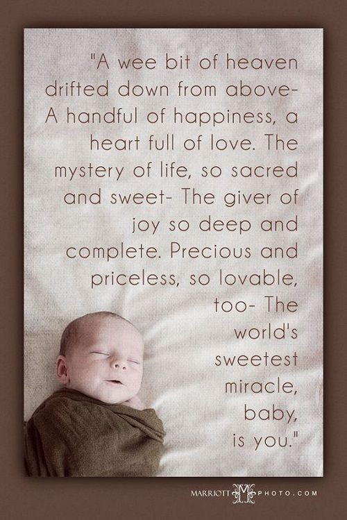 Quotes For New Parents Of A Baby Boy
 21 New Baby Quotes and Sayings with