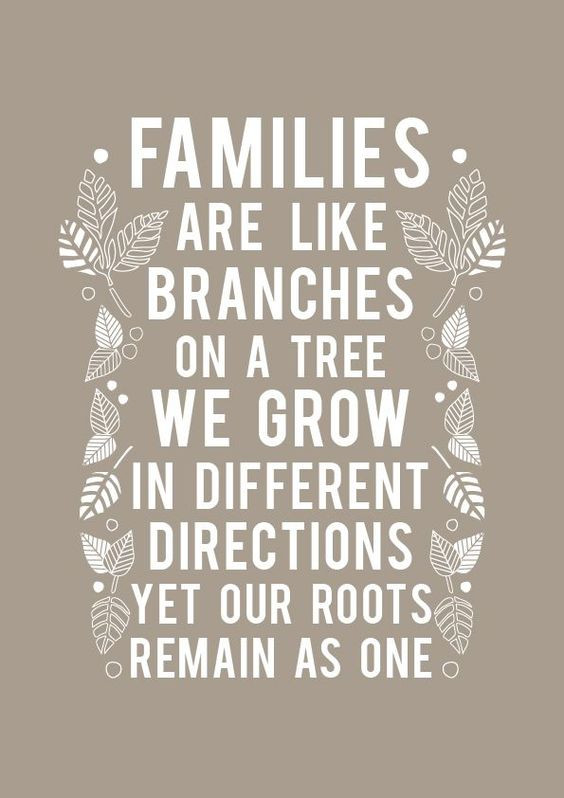 Quotes On Family
 60 Top Family Quotes And Sayings