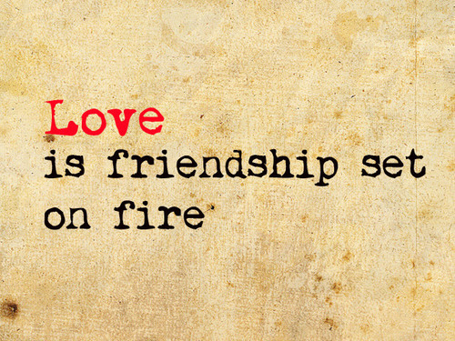 Quotes On Friendship And Love
 Love over Friendship