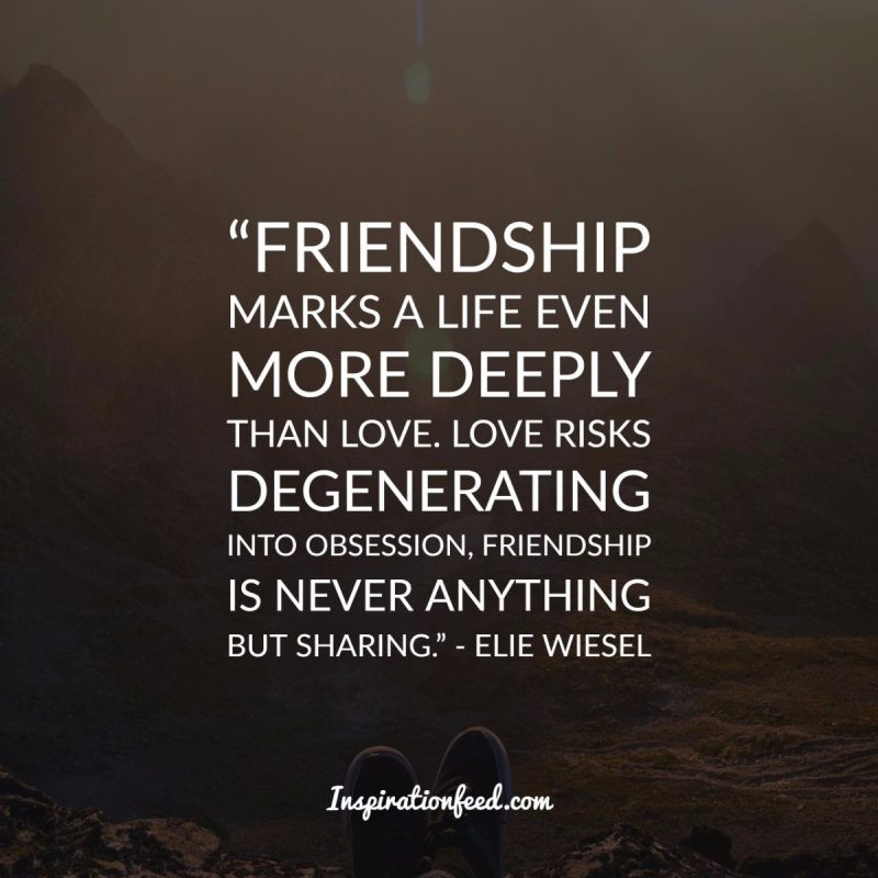Quotes On Friendship And Love
 40 Truthful Quotes about Friendship