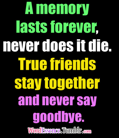 Quotes On Good Friendship
 Goodbye Best Friend Quotes QuotesGram