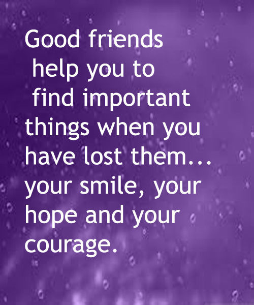 Quotes On Good Friendship
 Good Friends Help You Find Important Things When You Have
