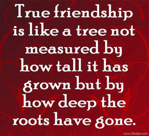 Quotes On Good Friendship
 Not A True Friend Quotes QuotesGram