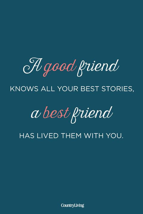 Quotes On Good Friendship
 12 Cute Best Friend Quotes Short Quotes About True Friends