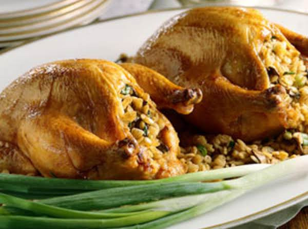 Recipe For Cornish Game Hens
 Cornish Game Hens With Stuffing
