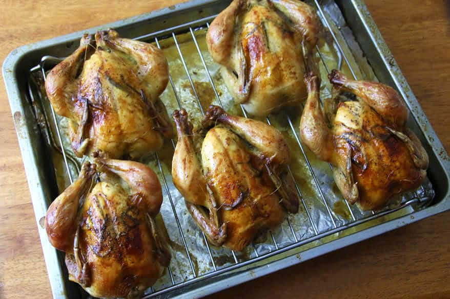 Recipe For Cornish Game Hens
 Roasted Cornish Game Hens with Garlic Herbs and Lemon