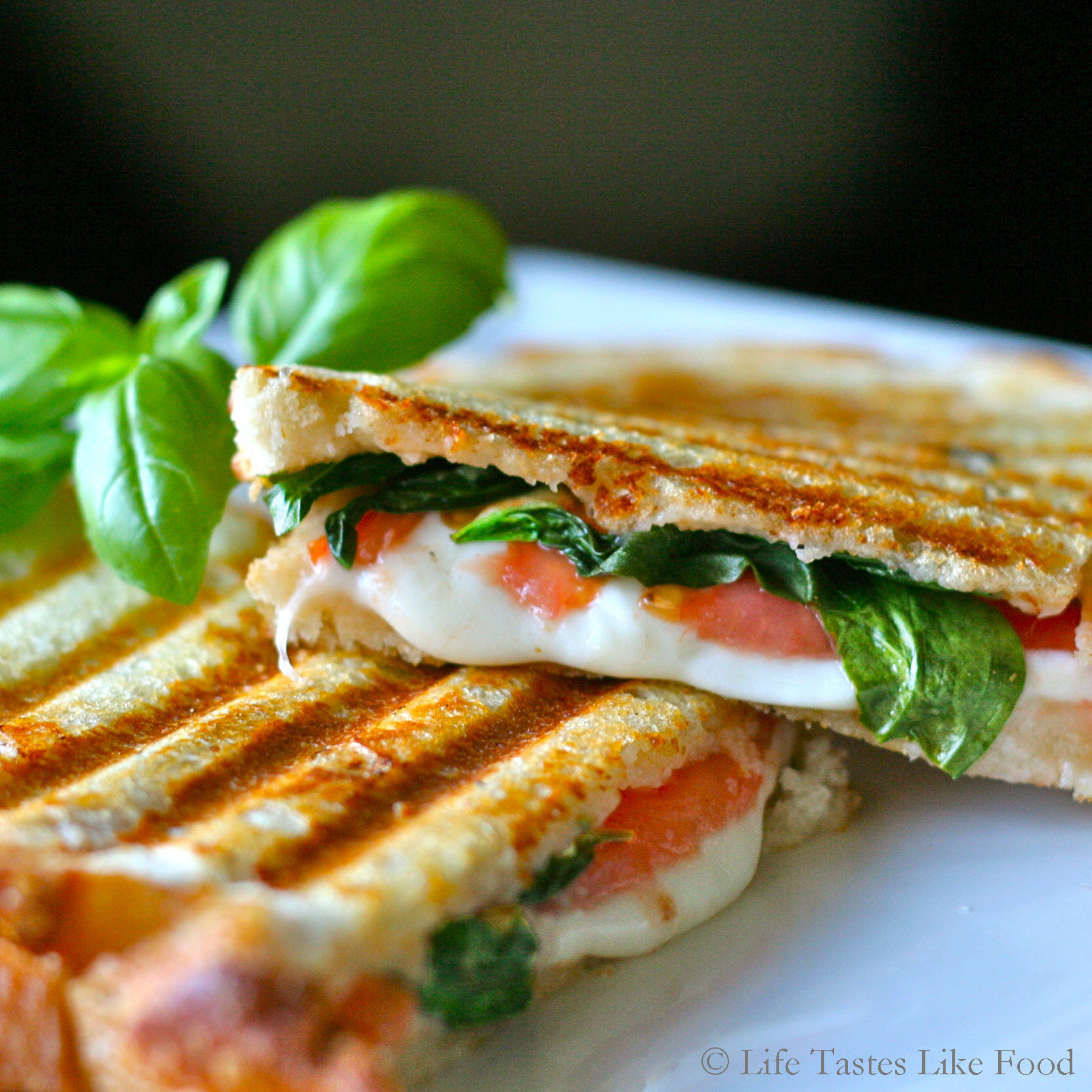 Recipe For Panini Sandwiches
 Easy Healthy Recipe Italian Panini