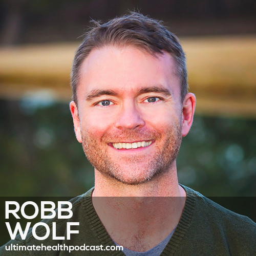 Robb Wolf Paleo Diet
 145 Robb Wolf You Can t Cheat Your Diet • Wired To