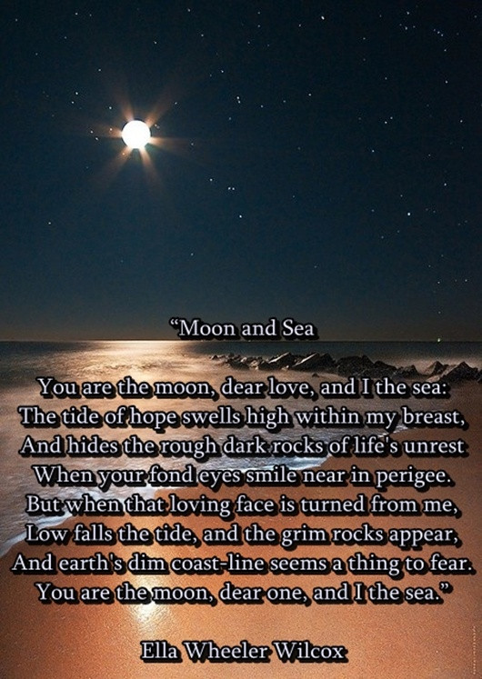 Romantic Moon Quotes
 10 best Solipsism images on Pinterest