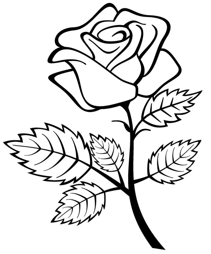 Rose Coloring Pages For Girls
 Free Printable Roses Coloring Pages For Kids