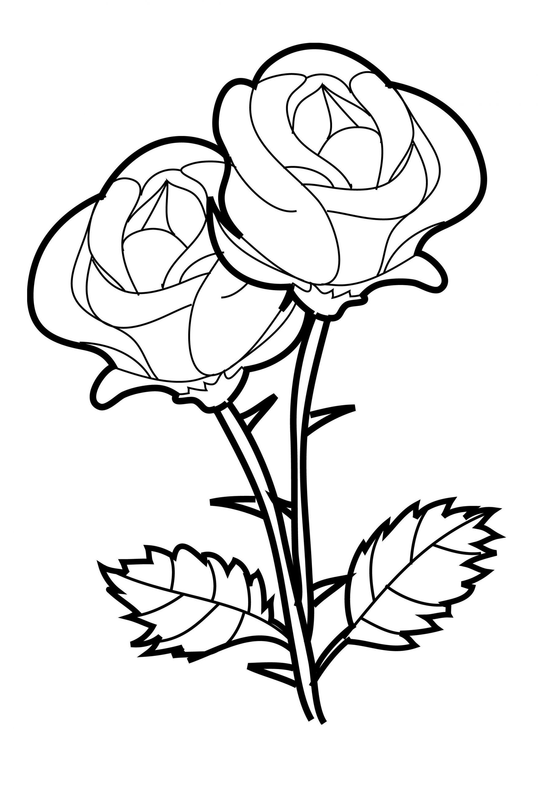 Rose Coloring Pages For Girls
 Rose Coloring Pages for Girls Coloring Pages