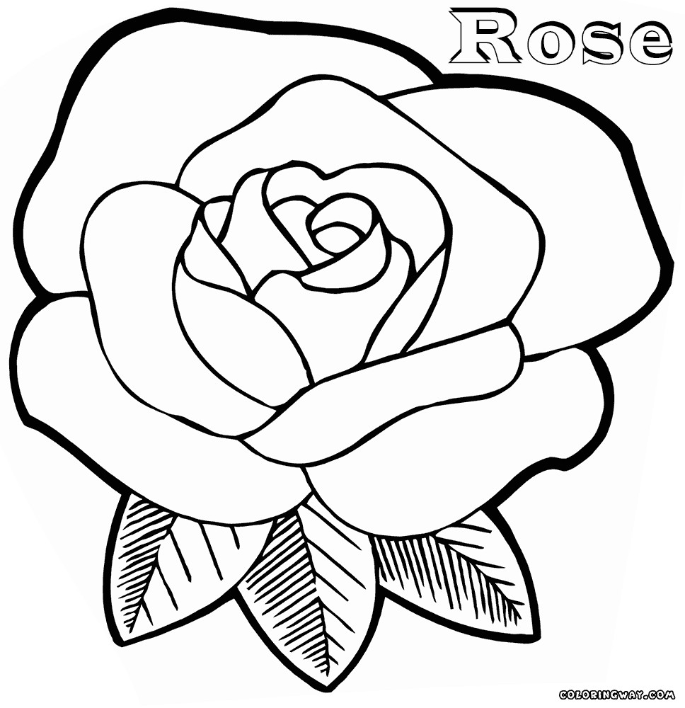 Rose Coloring Pages For Girls
 Rose coloring pages