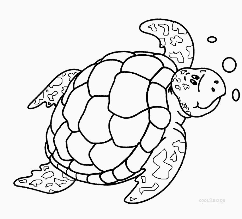 Sea Turtle Coloring Pages Printable
 Sea Turtle Coloring Pages Printable