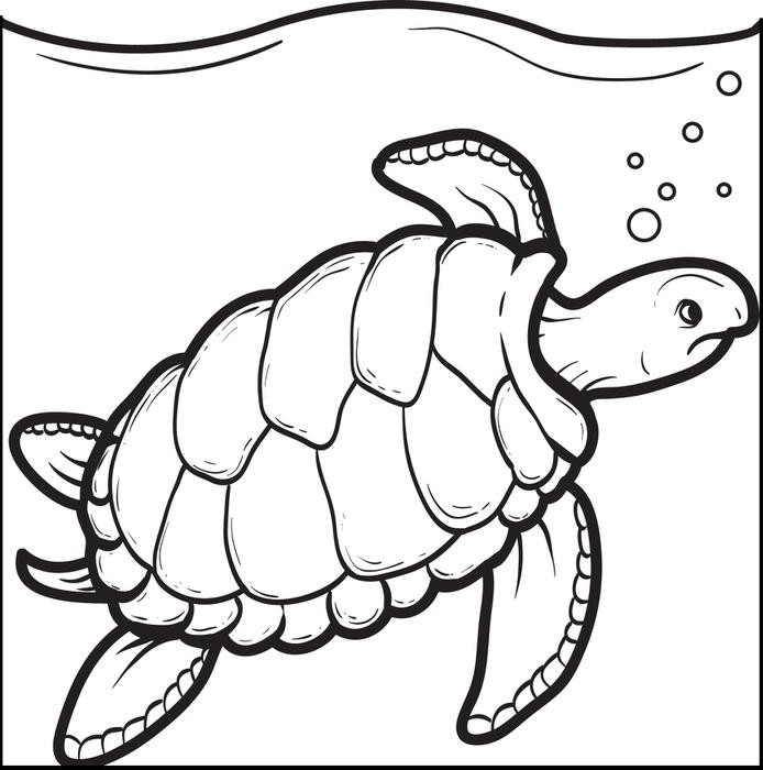 Sea Turtle Coloring Pages Printable
 Sea Turtle Drawing For Kids at GetDrawings