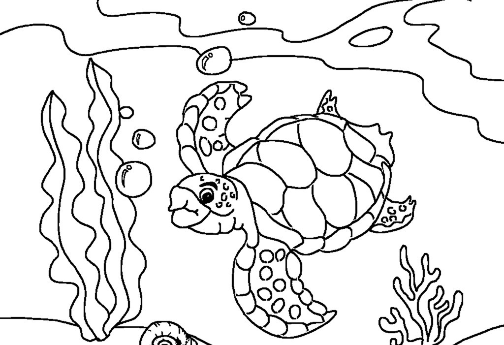 Sea Turtle Coloring Pages Printable
 Free Printable Sea Turtle Coloring Pages For Kids